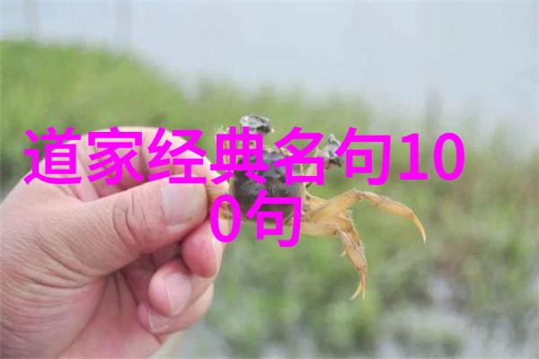 书法鉴赏名家揭秘中国古代艺术的精髓