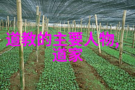 道教的智者穿越千年的灵魂