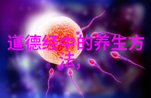 唐诗宋词赏析精选古典中国诗词的艺术魅力