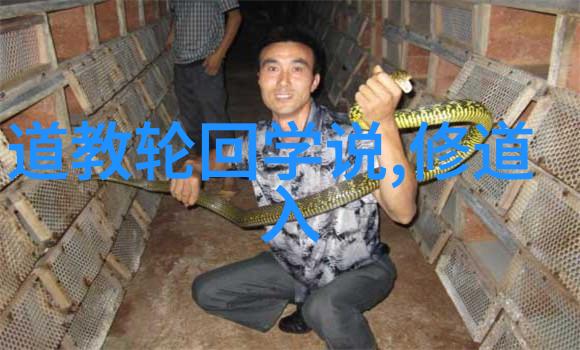 仁者无敌-智慧与慈悲的力量仁者无敌的哲学探究