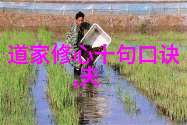 道家文化的精髓我和老子聊聊天寻觅那真正的悠然自得
