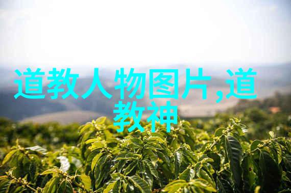 道者之榜现代道家人物排名揭秘