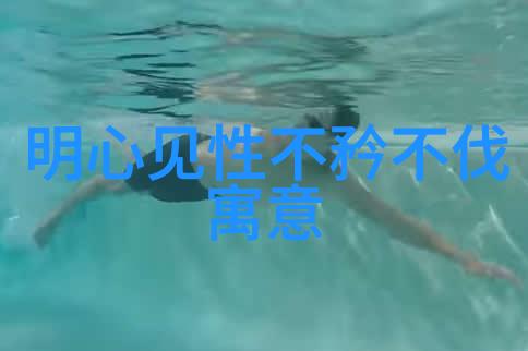 天下之忧与个体之忧探索先天下后自我