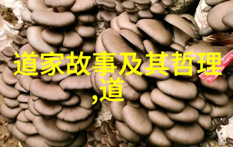 书法心得体会-墨香斐然书写之美的探索与沉淀