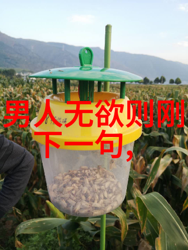 2025年中秋节作文结尾人物回忆春节时光的温馨场景