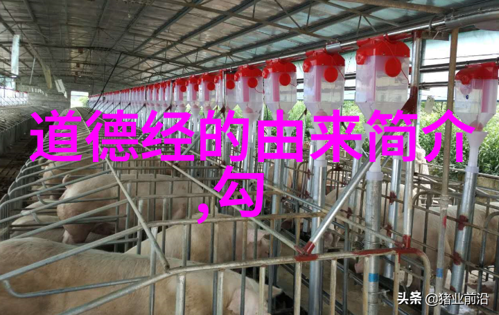 古代道教法术的实践者们梁山好汉故事背后的哲理