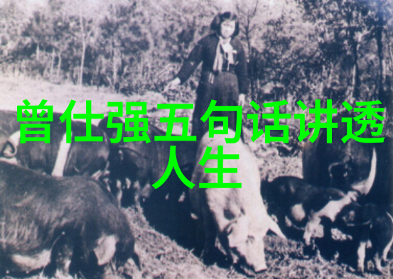笑谈大道至简生活的艺术品味