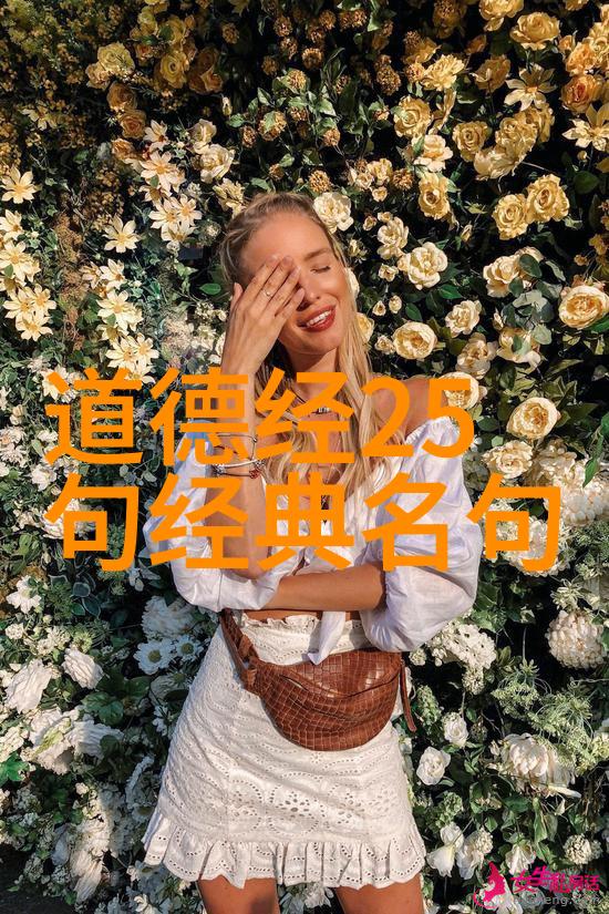 梦想与意志的辉煌交响如何将愿所求皆所愿转化为行动力
