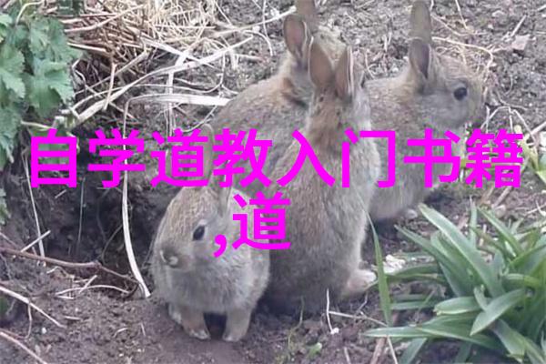 从一颗树开始如何运用居山道思想改善你的心态和行为模式