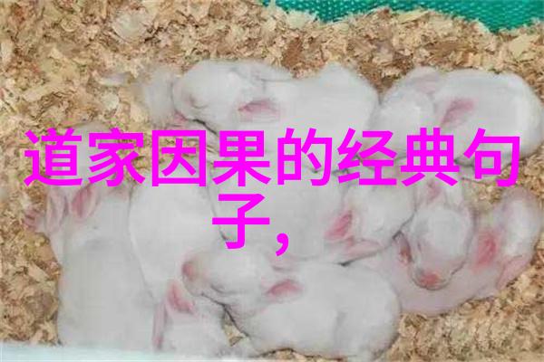 道家清心咒静心悟道的古老智慧