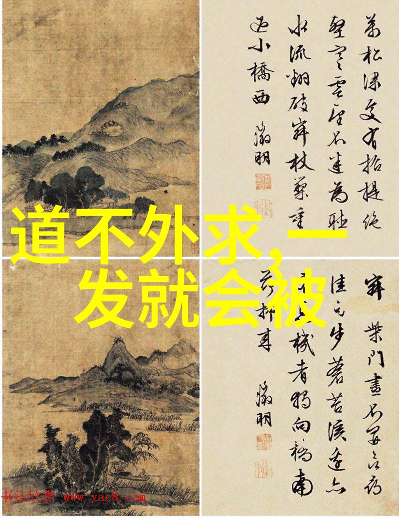 阴阳秘录道家术师的宇宙之谜