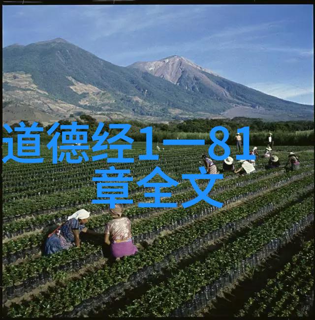 评析子曰如何让孩子理解并内化小学生道修行的话语