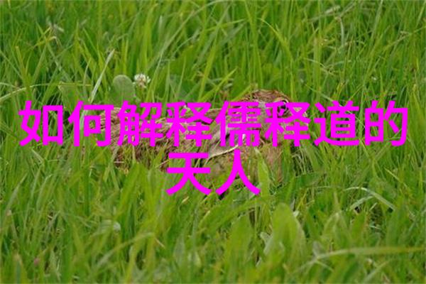 佛教和道教大战东方宗教对决