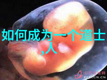 情感哲学-无欲则刚探索内心的力量与柔情