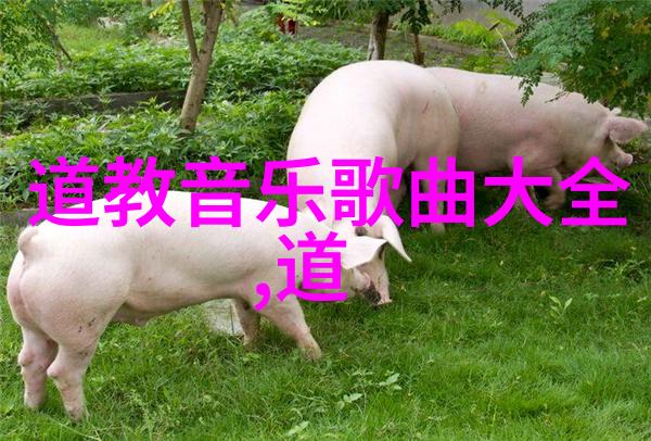 道法自然探索大道之行的哲学与实践