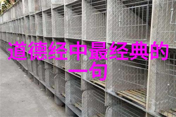 无为之治道家哲学中的自然法则治理方法