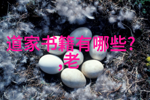 寻道者的心路历程修行中的隐秘探索