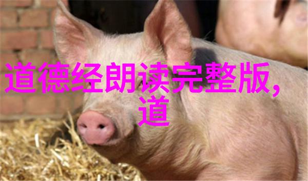 道德经辟邪指南巧用古言骂人不留痕