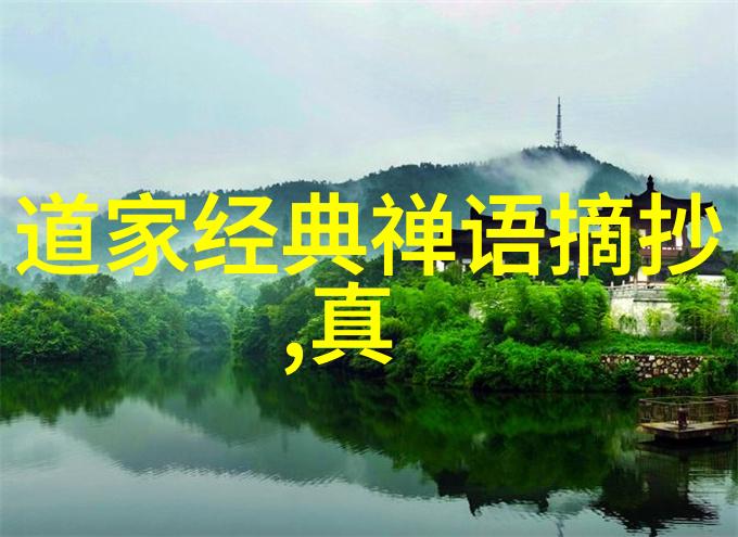 心灵的无为之道探索行动中的自然律则