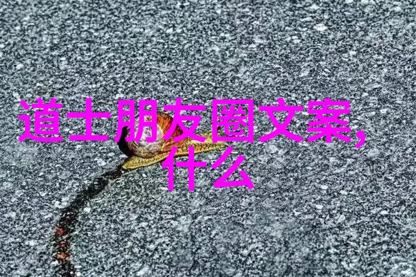道德经中的无为之道探索自然和谐的智慧