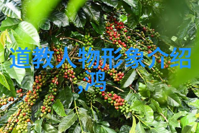 战国策士与道家的智慧何种哲学能引领江湖
