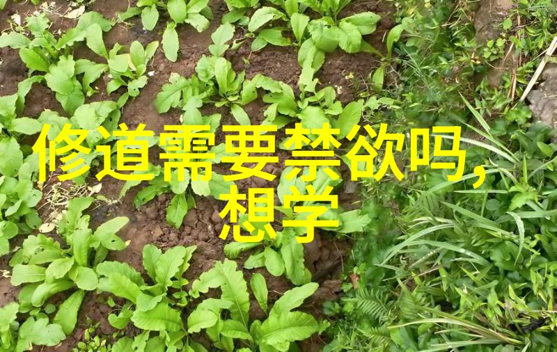 道理好深怎么理解啊 道生一一生二二生三