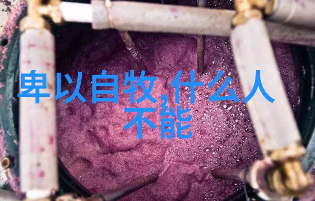 修真界中的隐世宗派对外界有何影响和意义