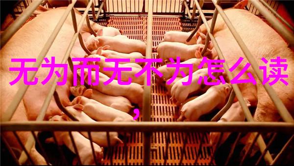 探索李清照诗歌之美十首经典作品的魅力