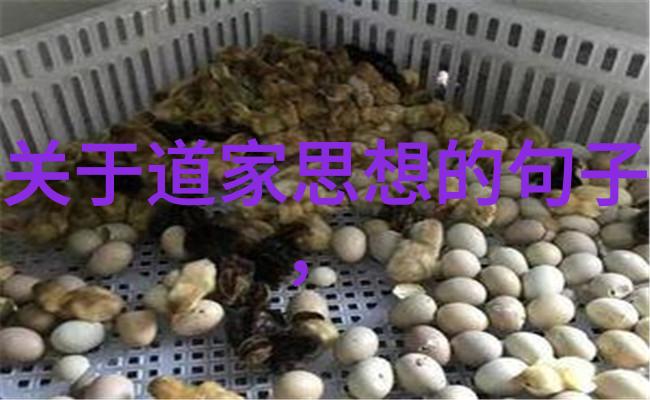 女人开悟后的身体特征-静心之光探索女性灵魂觉醒的物理象征