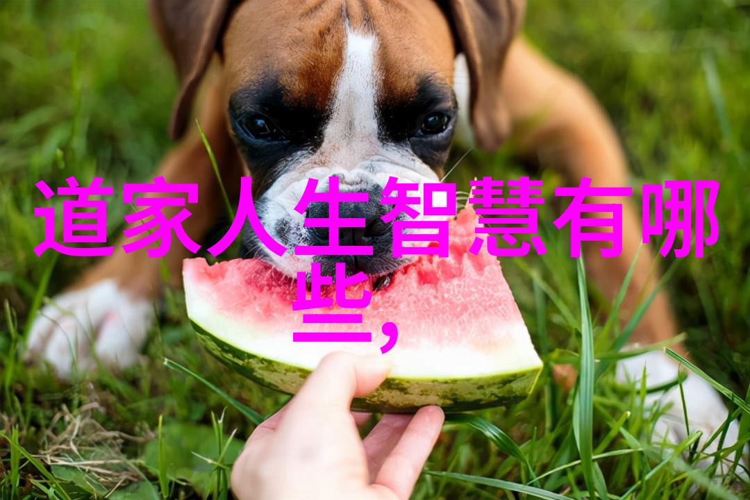 道家金光咒口诀道家秘籍中的金光咒语