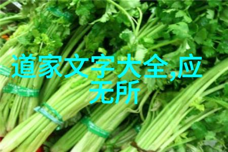 深夜的觉醒大悟无言的秘密
