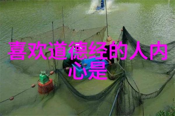 无为而不为探索生活中的意志与自由