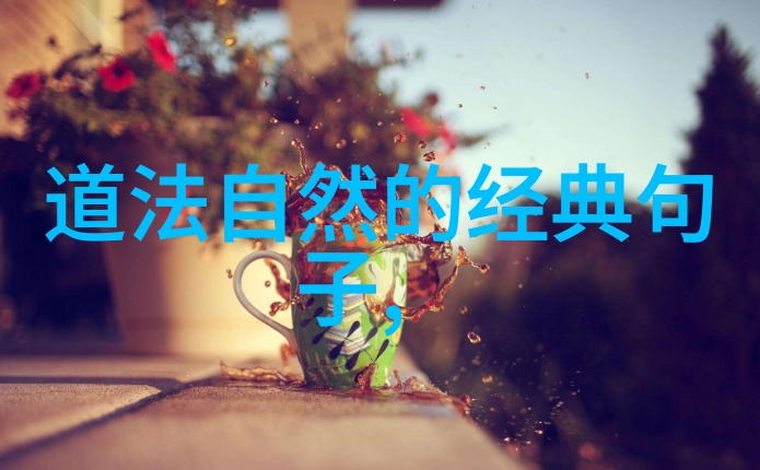 中国历史名人传文韬武略的传奇生涯
