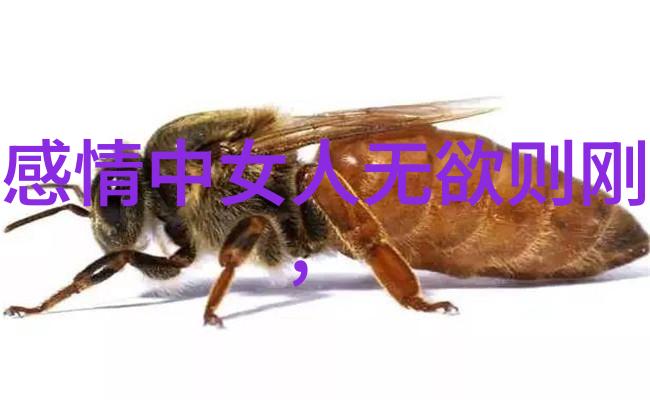 成仙的方法很恐怖 - 灵魂深渊之旅揭秘通往神话世界的血腥代价
