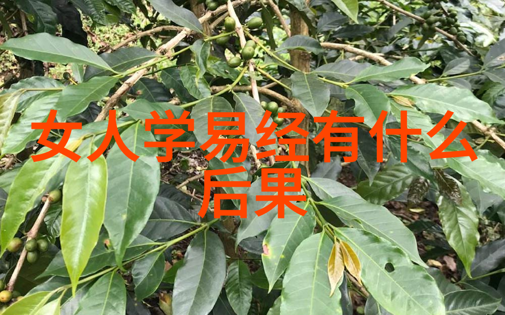 山中道德经典智慧的探索与实践