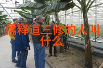 墨香沉淀兰亭序中的书法艺术探究