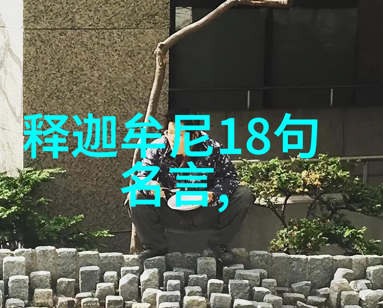 道德经的源流探索