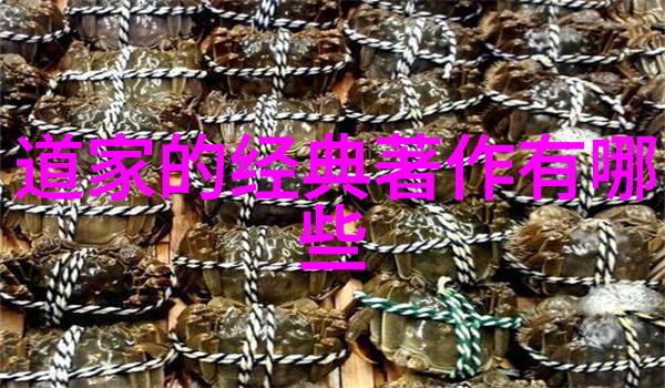 无为之道智慧的源泉与行动的指南