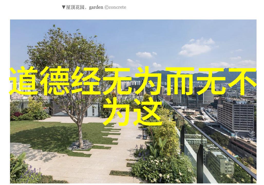 道教修身养性探索内在世界的智慧与实践