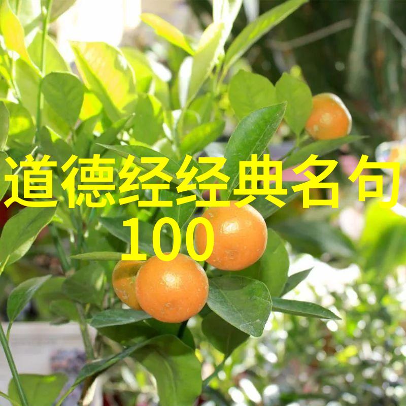 道家两鼻祖之谜淳于髡与老子谁才是真正的开山鼻祖