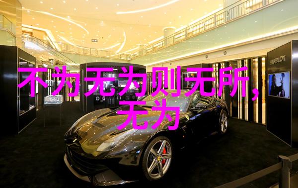 在当代社会中重读道德经国家推广的可能性与挑战