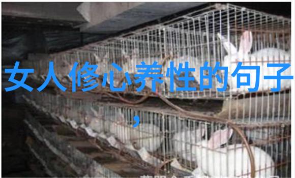 道教八大真人的修炼秘籍与神通能力