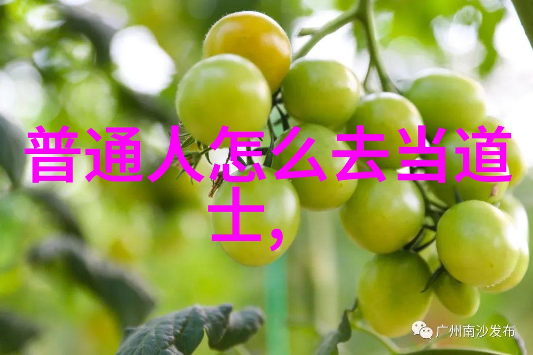 古诗意境赏析探索唐代诗人词藻之美