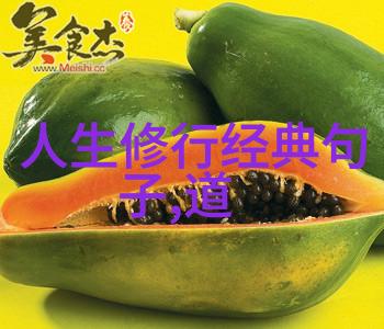 笑傲江湖道教七十二变中的神秘大师