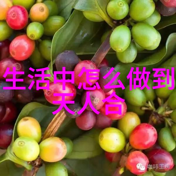 道教三大奇书是哪三部揭秘这三本神秘古籍的真相你知道吗