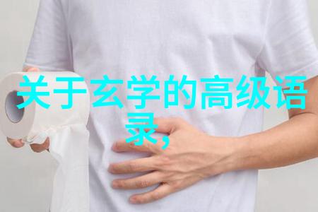 诗意涌动现代抄袭的美学探索