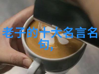 理论与实践的统一道德经教导下的平衡原则