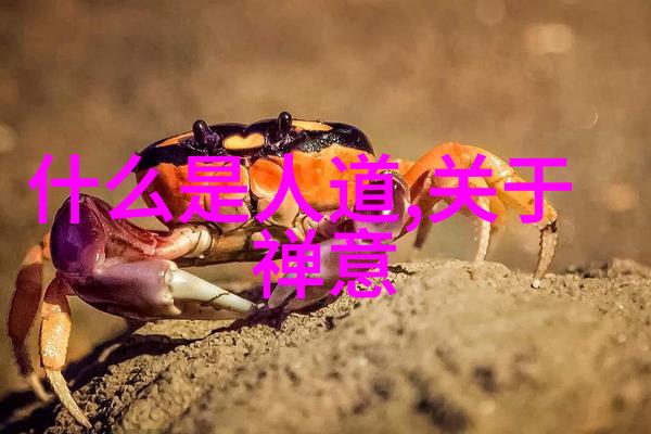 乘客们的故事公车上的邂逅与离别