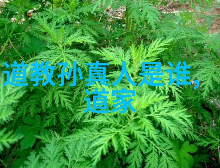 铁石心肠的智慧她是无欲之人的楷模