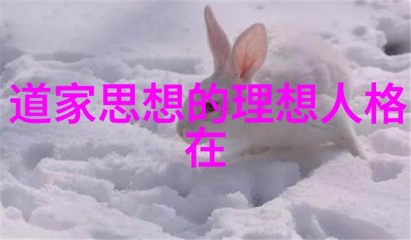探索道教哲学的奥秘理解其对人生与宇宙的独特见解